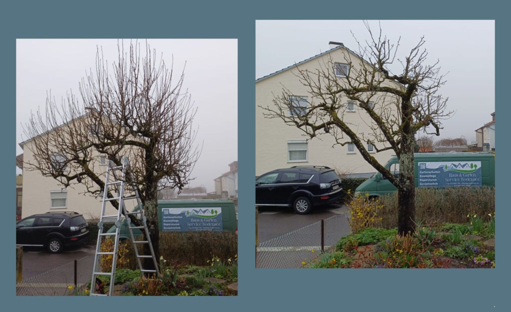 Haus- und GartenService Bodensee hgs-bodensee.de