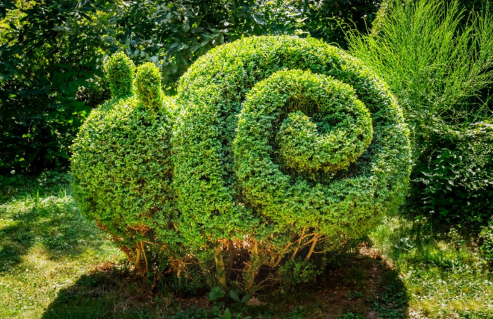 Haus- und GartenService Bodensee hgs-bodensee.de