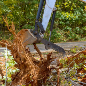 minibagger-mieten-friedrichshafen-gaertner-gartenumgestaltung-gartenservice