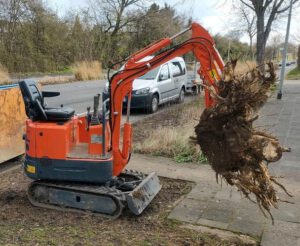 minibagger-mieten-friedrichshafen-gaertner-gartenumgestaltung-gartenservice