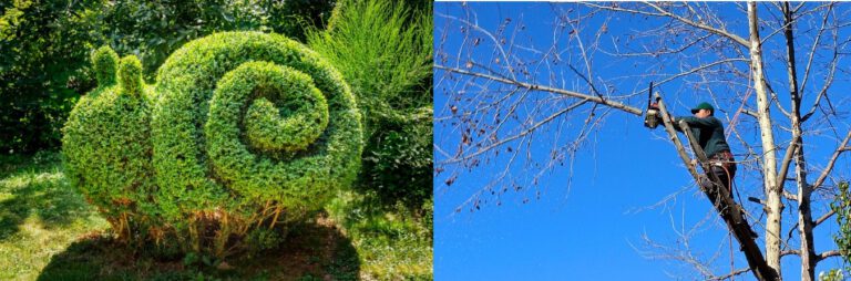 Haus- und GartenService Bodensee hgs-bodensee.de