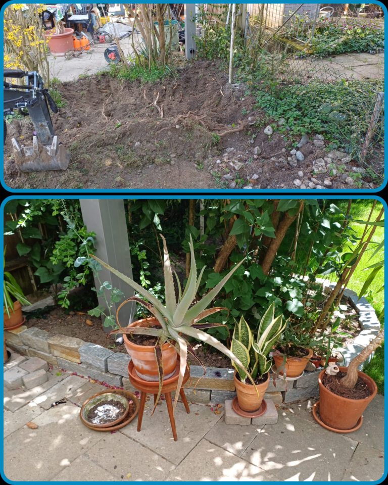 Setzen einer Kräuterschnecke